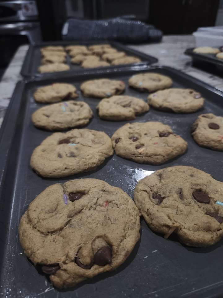 Close-up of homemade chocolate chip cookies on a tray
