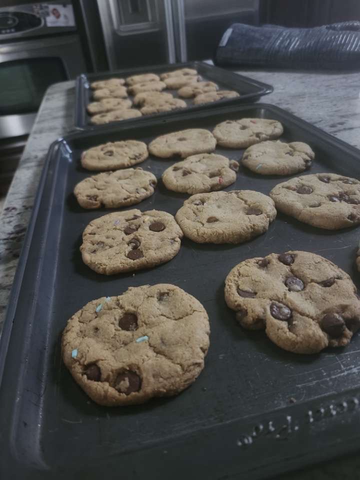 Fresh chocolate chip cookies cooling on baking trays